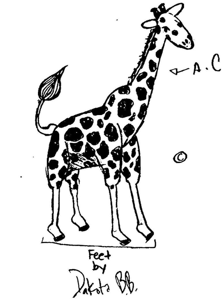 771x1037 Cute Drawings Of Giraffes