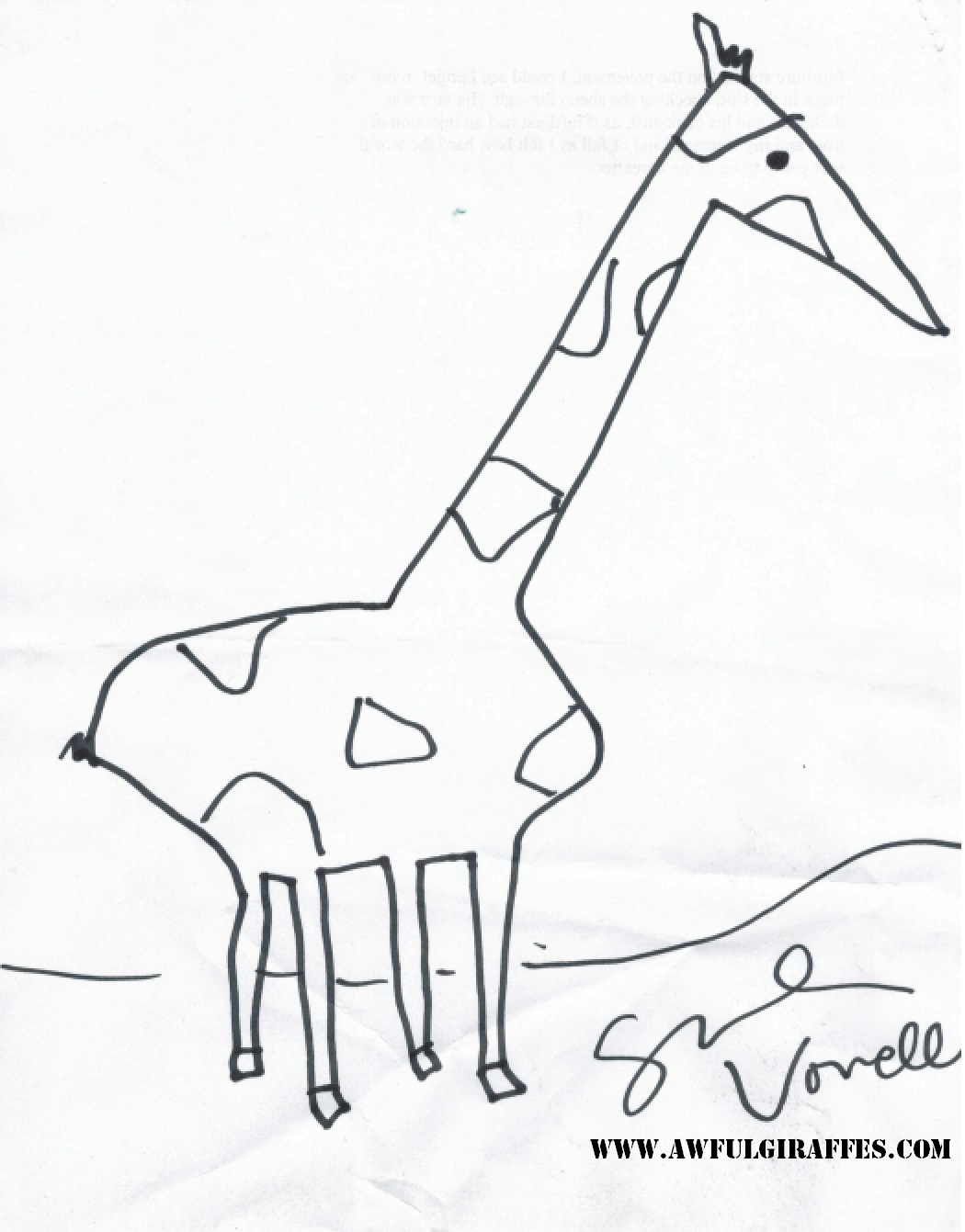 1050x1341 Essayist Sarah Vowell's Awful Giraffe Giraffes Drawn By People