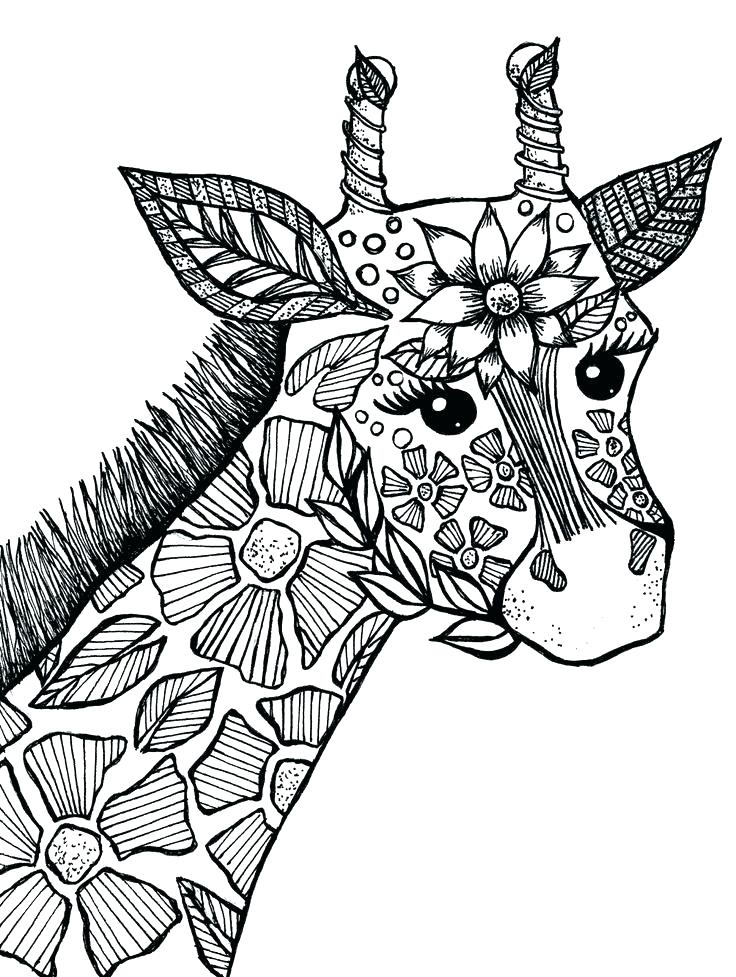 736x977 Giraffes Coloring Pages Coloring Pages Of Animals Also Giraffe