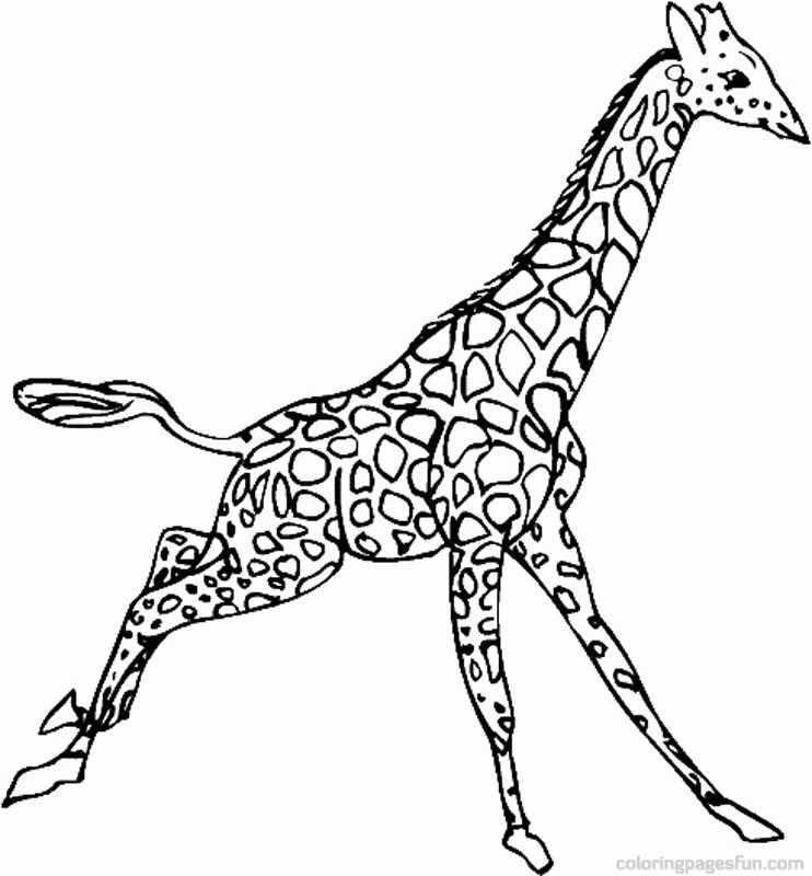 742x800 Giraffes Coloring Pages Many Interesting Cliparts