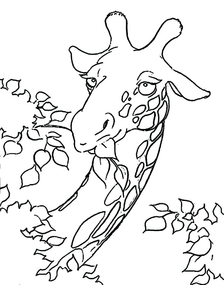 736x937 Inspirational Cute Giraffe Coloring Pages Online