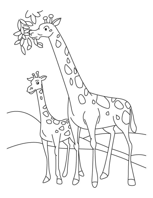 612x792 Pictures Of Giraffes To Color