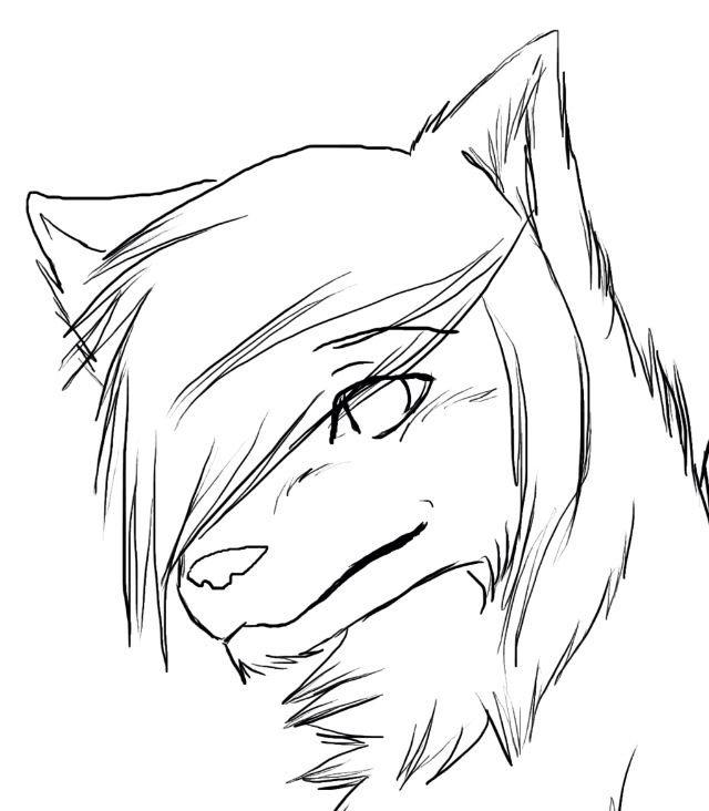 640x732 Drawing Arctic Wolf Easy Drawing As Well As Tribal Wolf Drawing