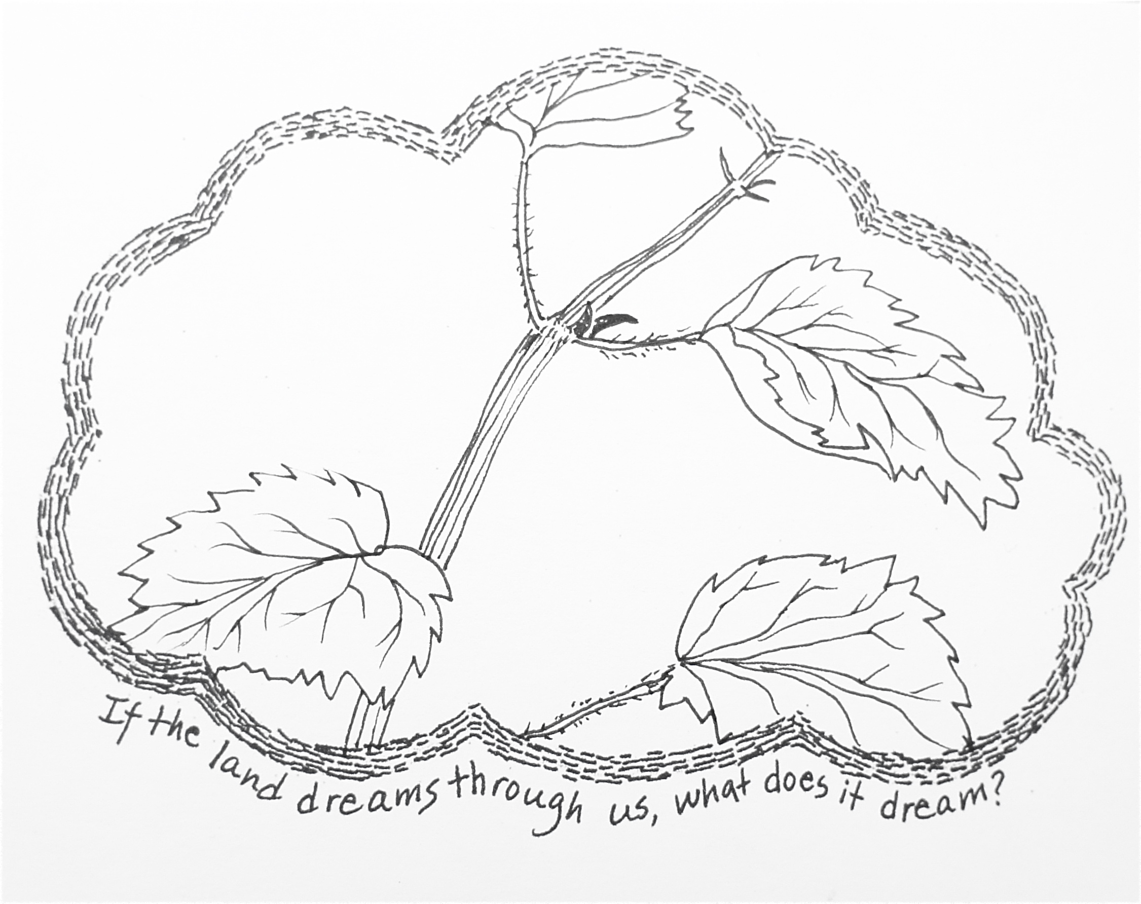 2251x1784 Dreaming Place