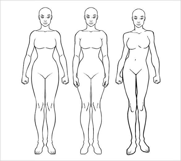 585x520 Body Outline Template Free Sample, Example, Format Download