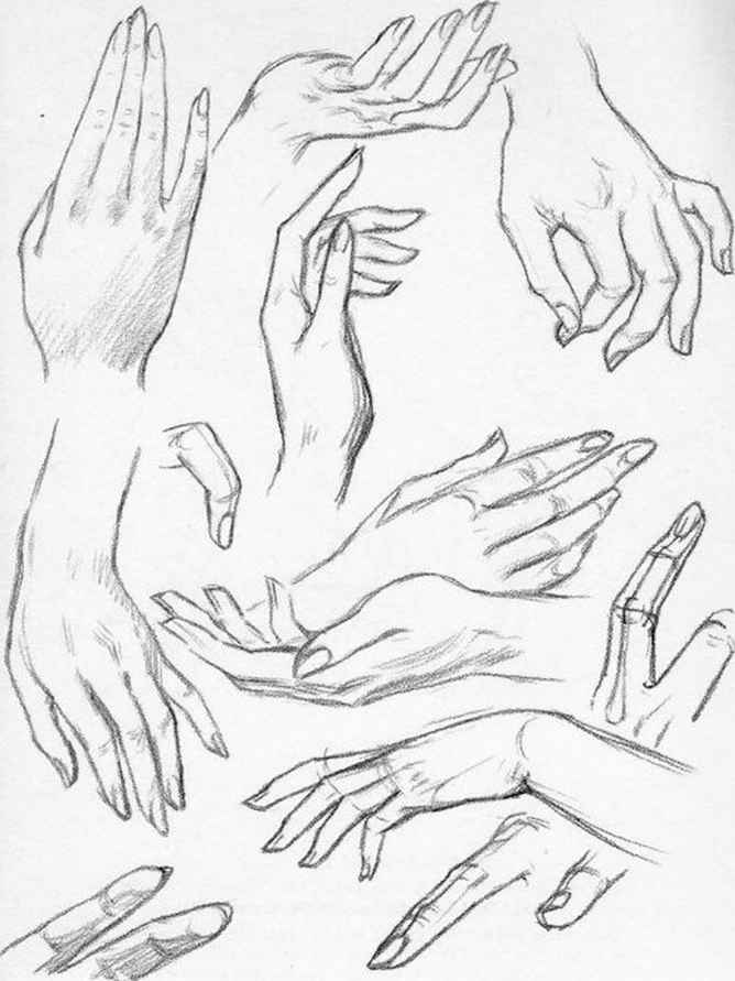 668x891 Gallery How To Draw Female Hands,