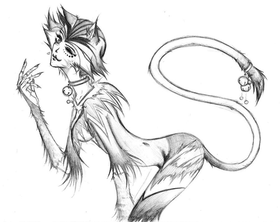 900x715 Anti Anatomy Cat Girl By Bochoko