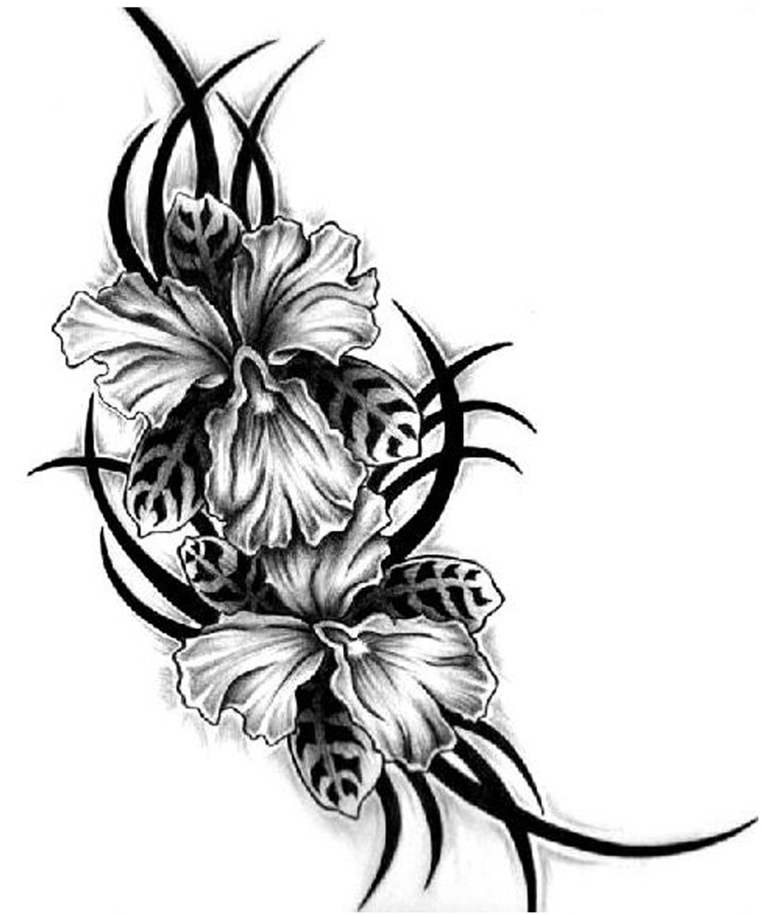 1111x1334 Great Idea For Covers Up On My Back Tattoos Tattoo