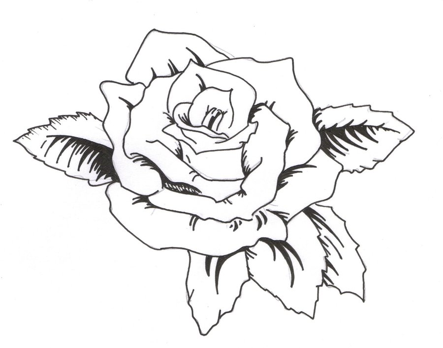 900x707 Here Are Some Examples Of Tribal Rose Tattoos. Description