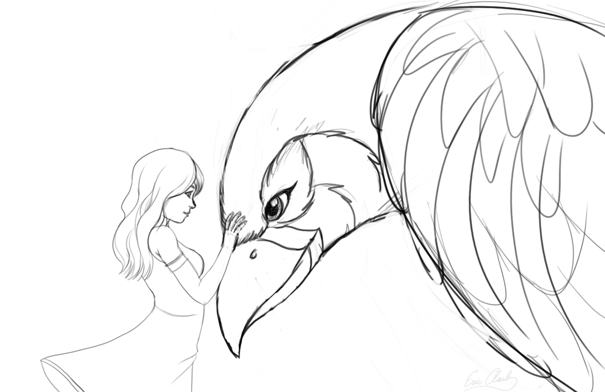 1224x792 Girl And Bird Sketch By Sawuinhaff