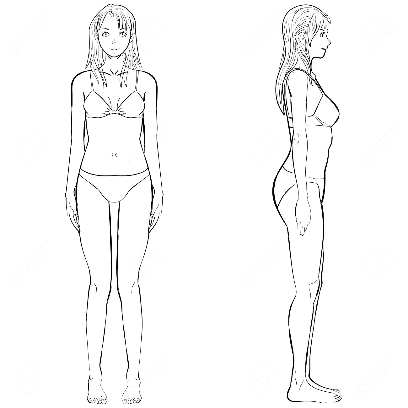 1300x1300 Comfortable Female Body Template Contemporary