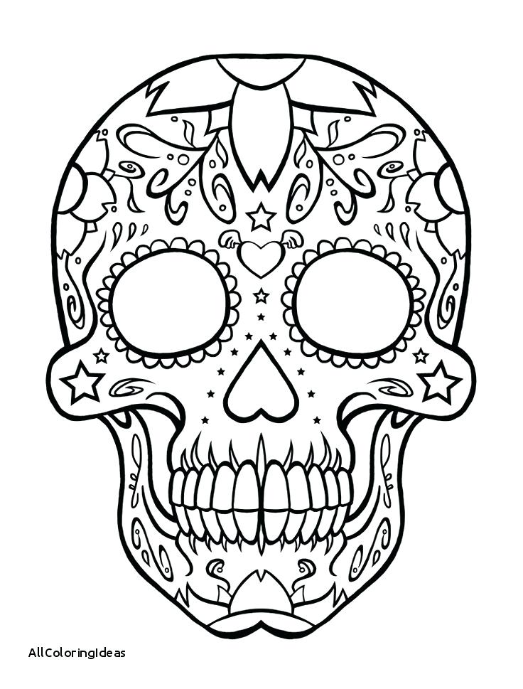 736x969 Girly Coloring Pages Elegant Coloring Pages Girl Skull Coloring