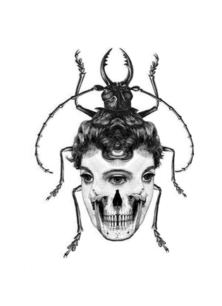 315x434 The Gif Machine Insect Girly Skull