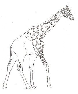 269x327 I Have Drawn This. Looks Exactly Like This, But Finished. Art