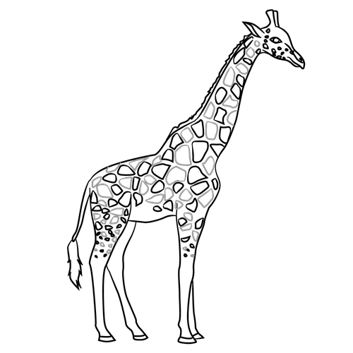 500x500 Coloring Pages Giraffe Drawing Coloring Pages Giraffe Drawing