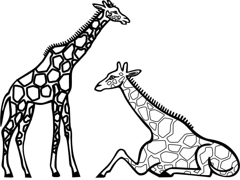 999x749 Drawn Giraffe Clip Art Black And White