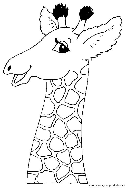 521x768 Drawn Giraffe