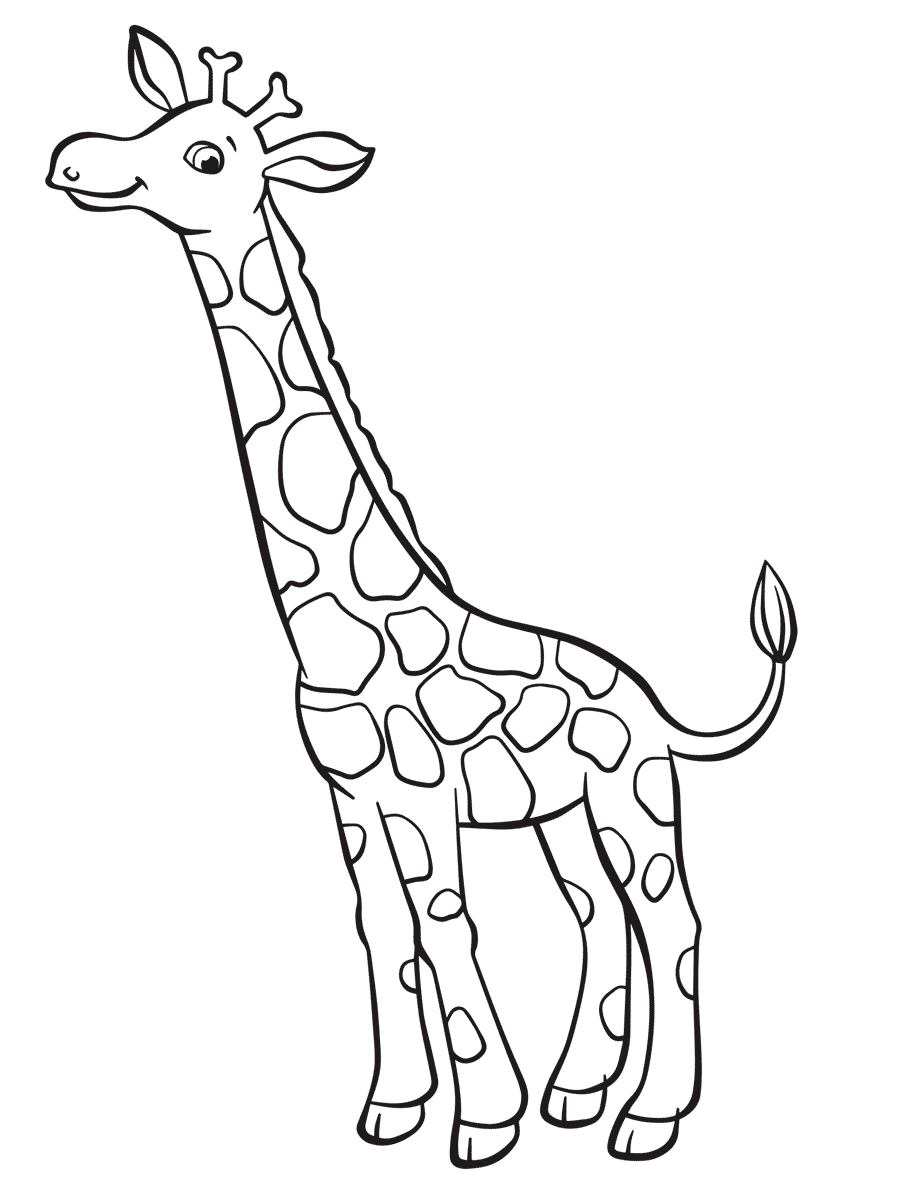 900x1200 Giraffe Sketch Outline