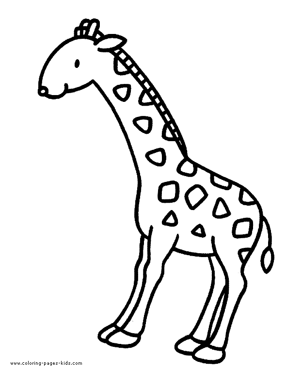 590x769 Giraffe Coloring Page