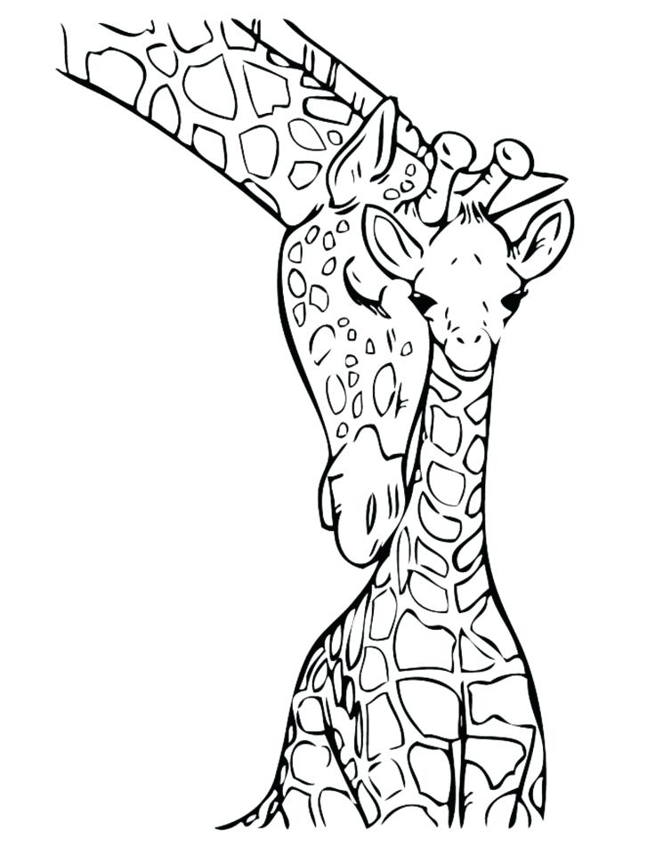 736x952 Giraffes Coloring Pages Giraffe Coloring Pages Giraffe Coloring