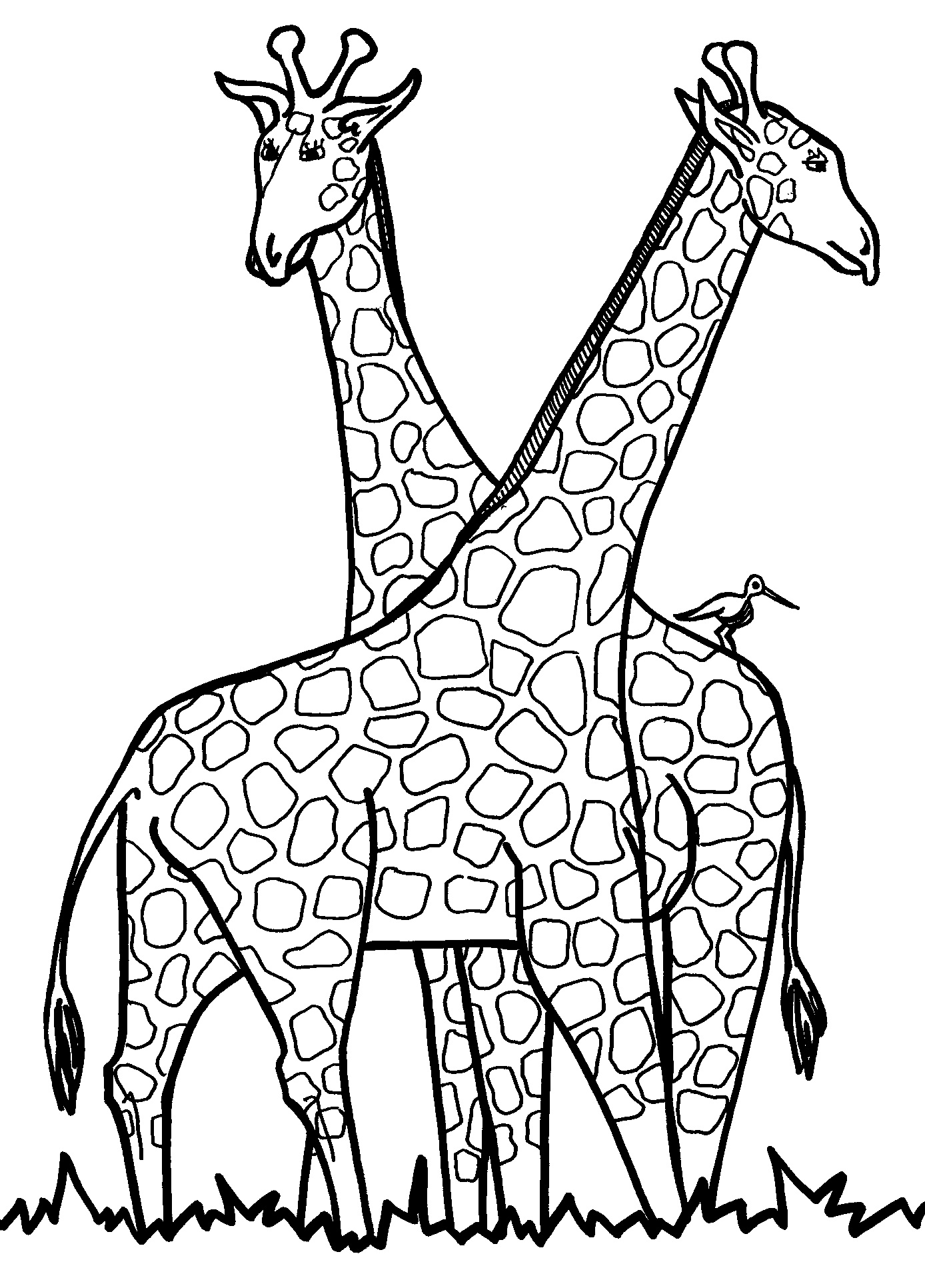1388x1932 Inspiring Giraffe Coloring Sheet Nice Coloring