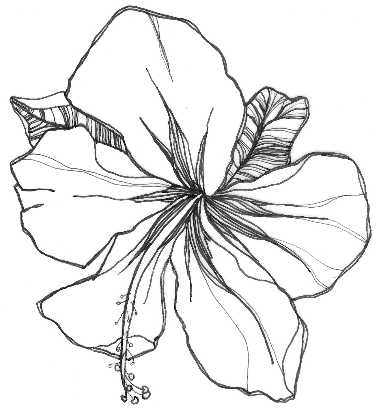 1306x1428 Flower Drawing