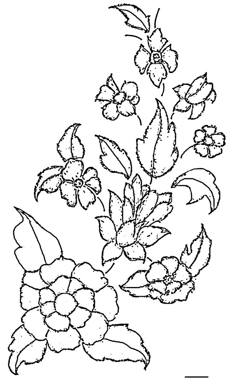 736x1213 Pictures Glass Painting Outline Designs Of Flowers,