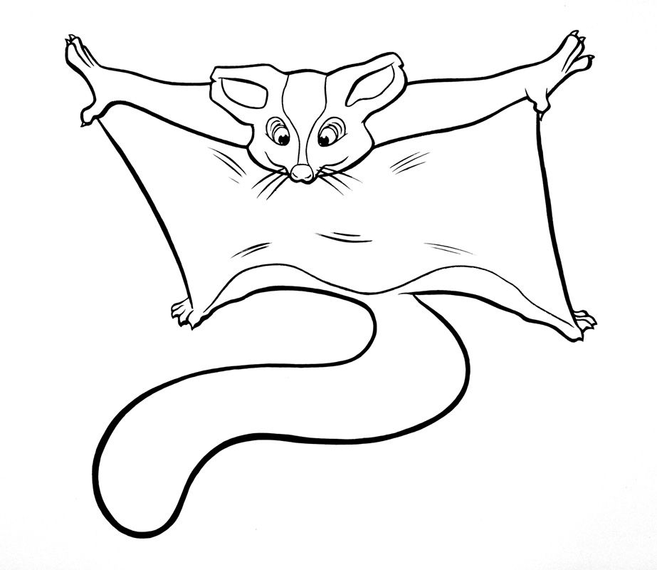 923x800 Sugar Glider Links 00 Gliders