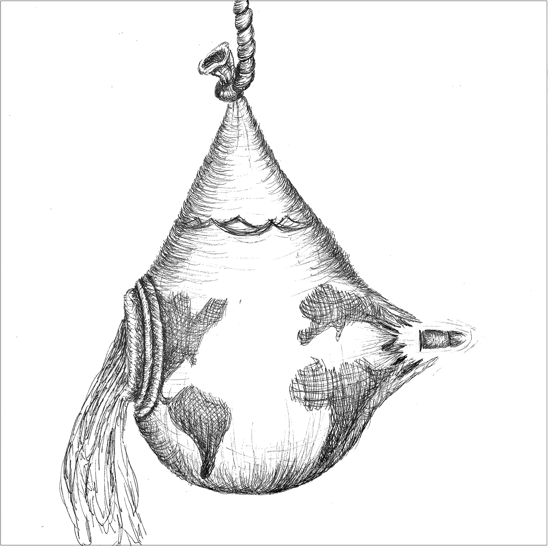 1920x1915 Kayla Currens