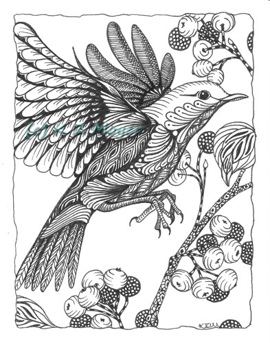 393x500 Birds From Around The Globe Collection 2 (4 Note Cards