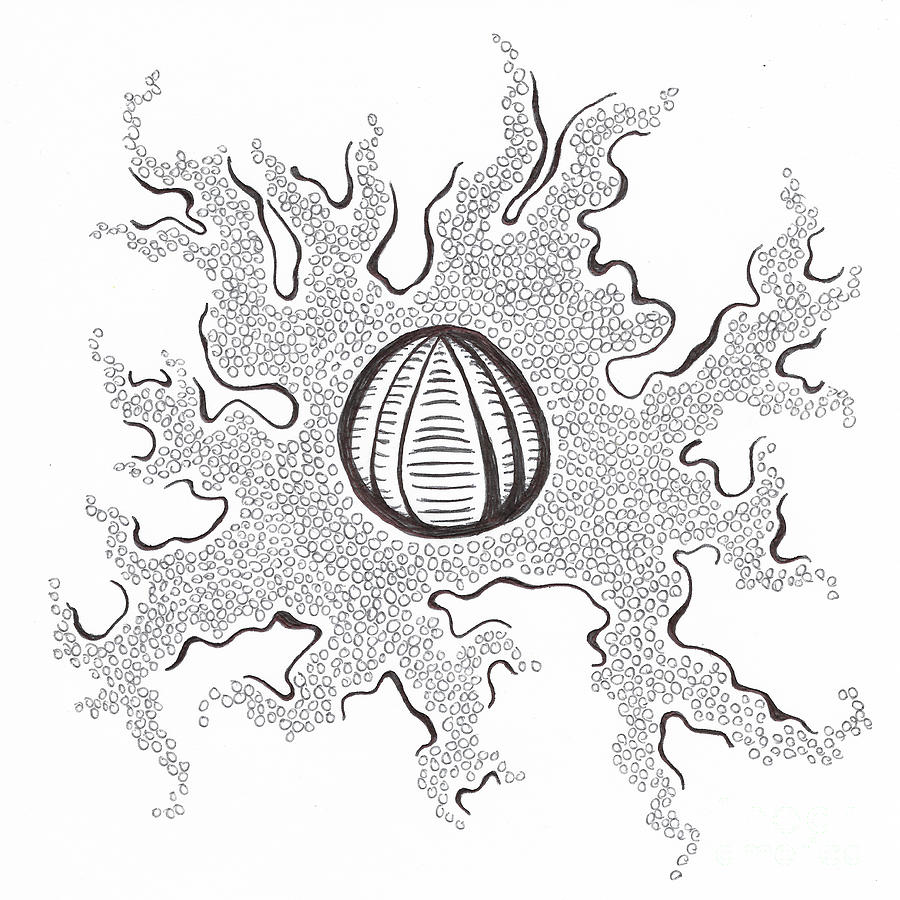 900x900 Glow Drawing By Shelby Wilson