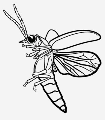 350x400 44 Best Doorbell Images On Fireflies, Glow Worms