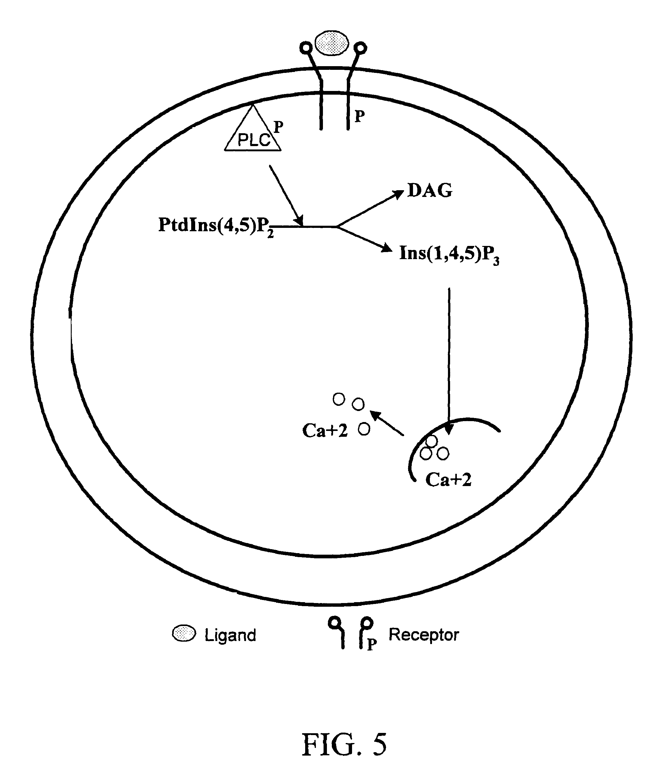 2190x2550 Patent Us8008071