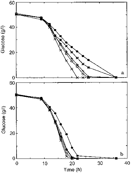 456x574 A B Anaerobic Batch Fermentation Of Glucose (50 Gl) By S