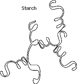 265x289 Image6.2.gif