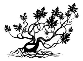 270x199 Gnarled Tree Silhouette Stock Vectors