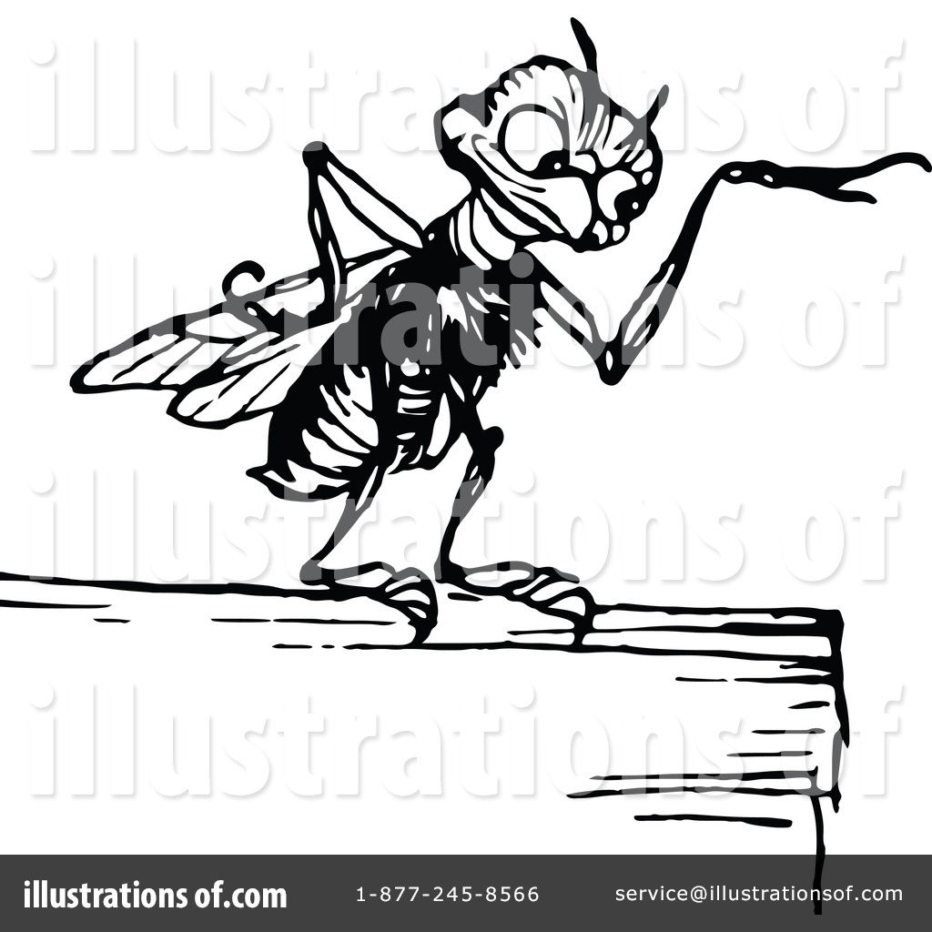 1024x1024 Gnat Clipart