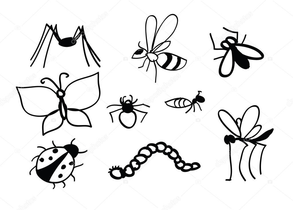 1023x734 Set Of Vector Insects. Insects Set. Insect Collection Of Gnat, Ant