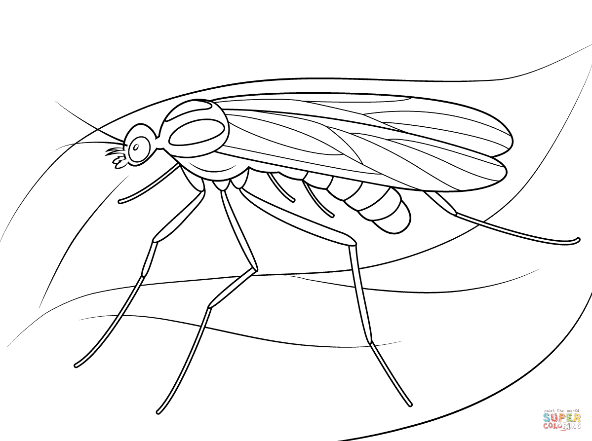 1199x894 Window Gnat Coloring Page Free Printable Coloring Pages