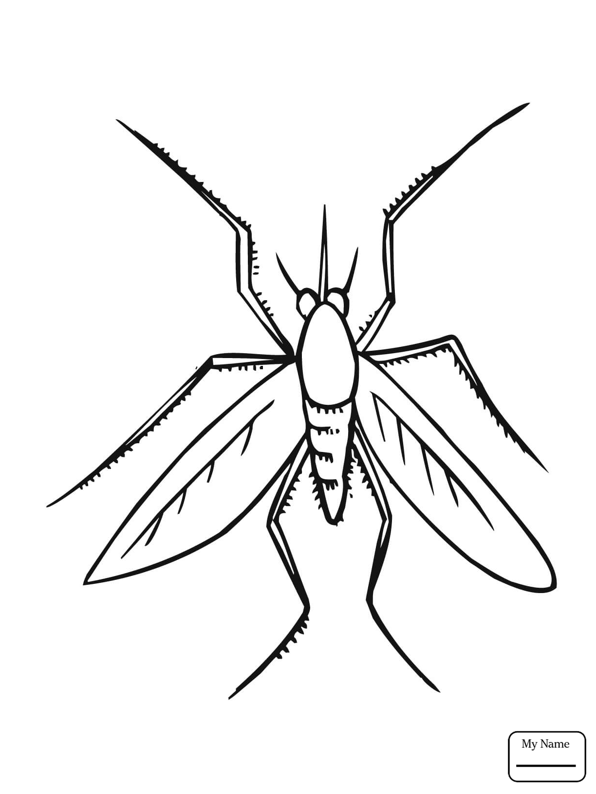 1224x1632 Coloring Pages For Kids Window Gnat Mosquito Insects