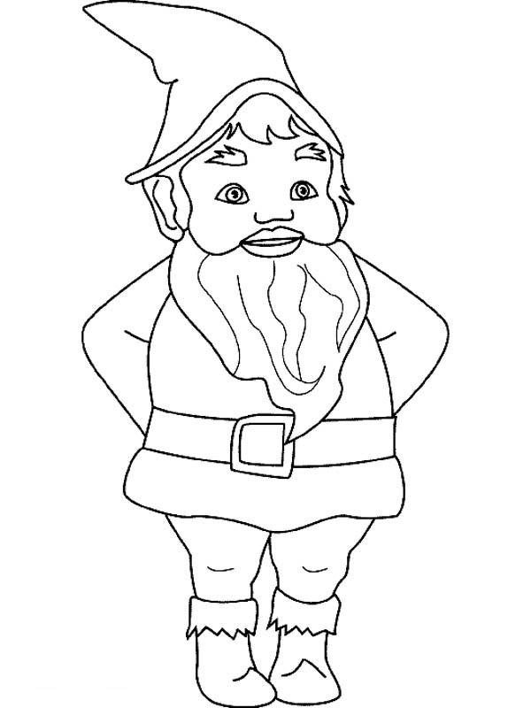 600x800 Gnomes Drawings In Color What Are Gnomes