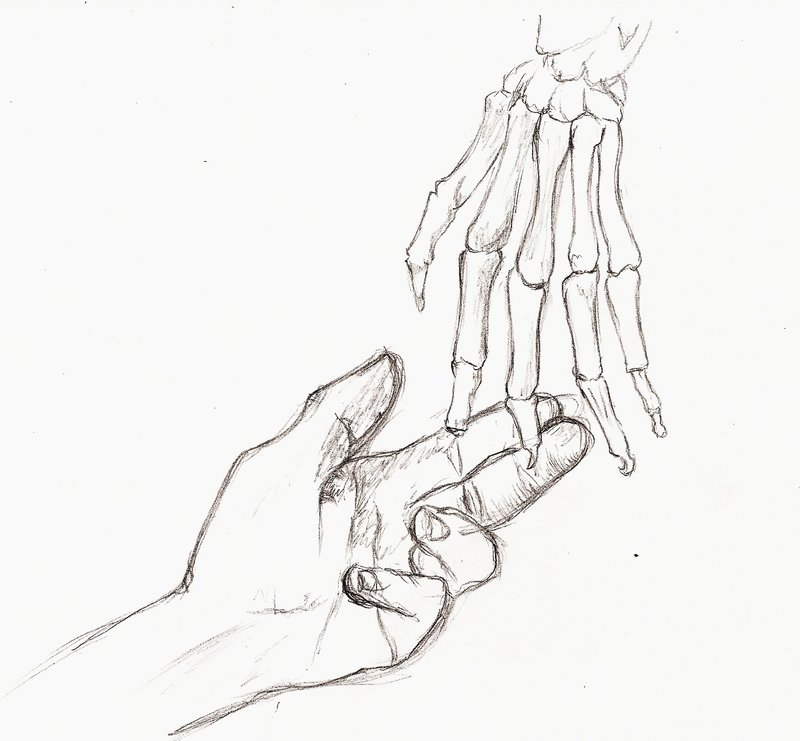 800x741 Let Her Go By Kippotec