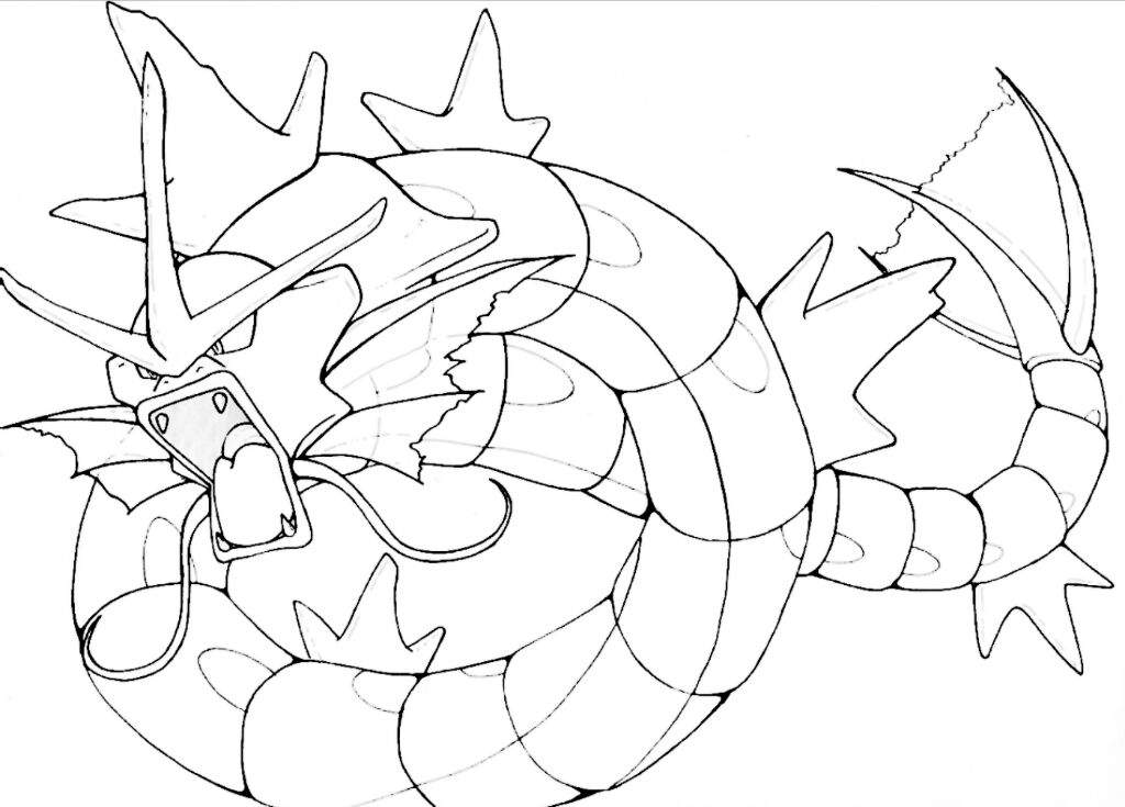 1024x735 Gyarados Drawing! Pokemon Go Amino