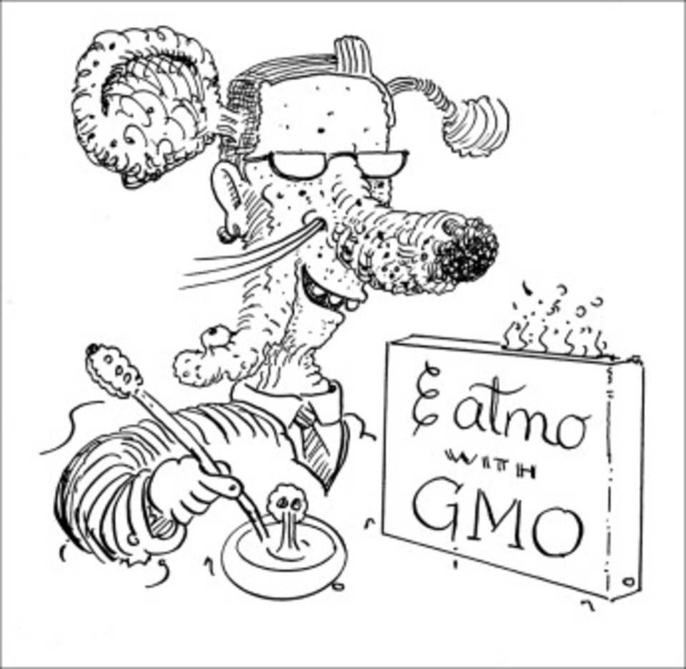 960x937 Are Genetically Modified Foods Really Dangerous