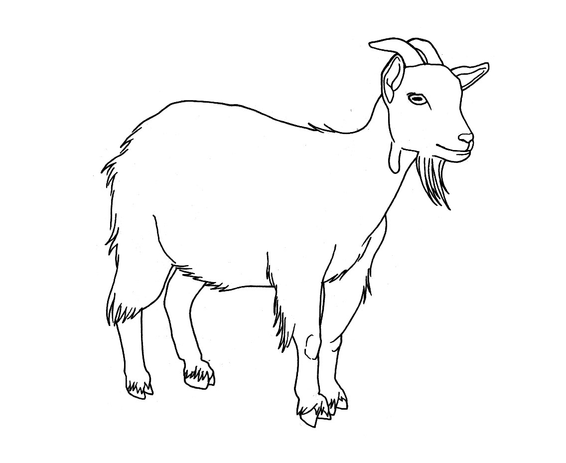 1136x929 Drawing Of A Goat Drawing Of A Goat Goat Cartoon