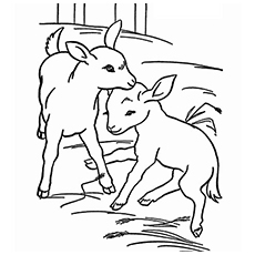 230x230 Top 25 Free Printable Goat Coloring Pages Online