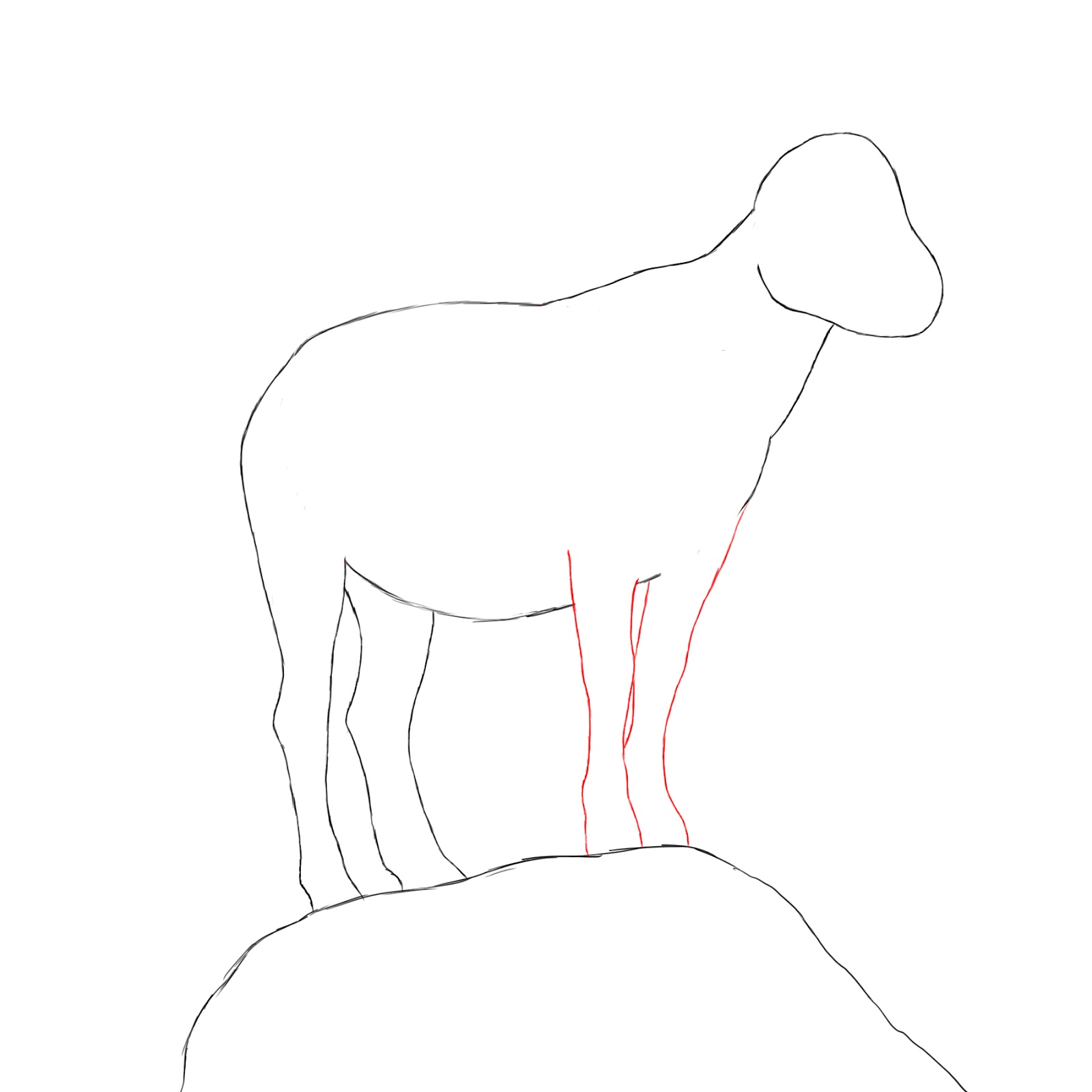 1600x1600 How To Draw A Goat