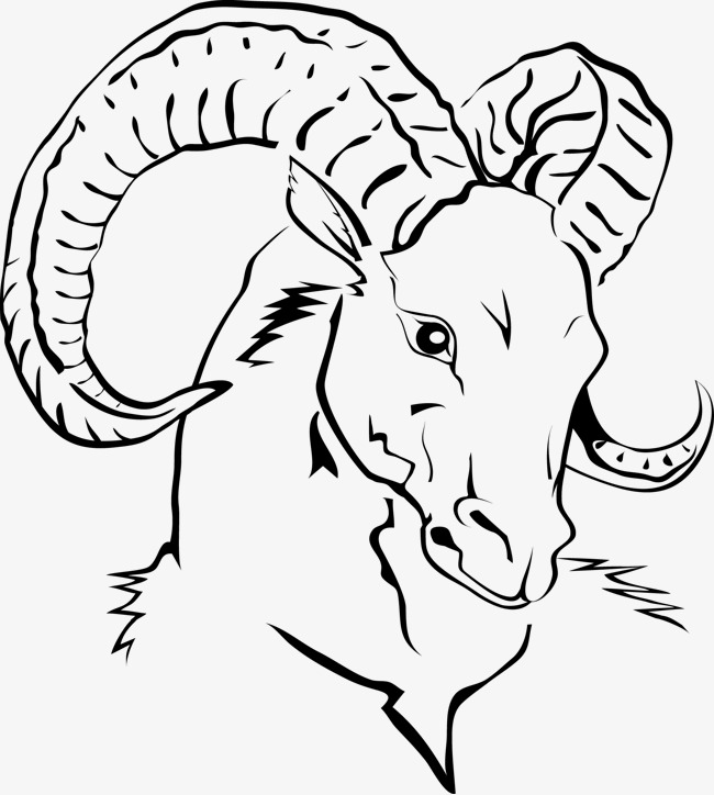 650x724 Vector Line Drawing Goat Head, Vector Line Drawing Goat Png