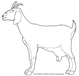260x250 Farm Animal Coloring Pages Goats And Farming
