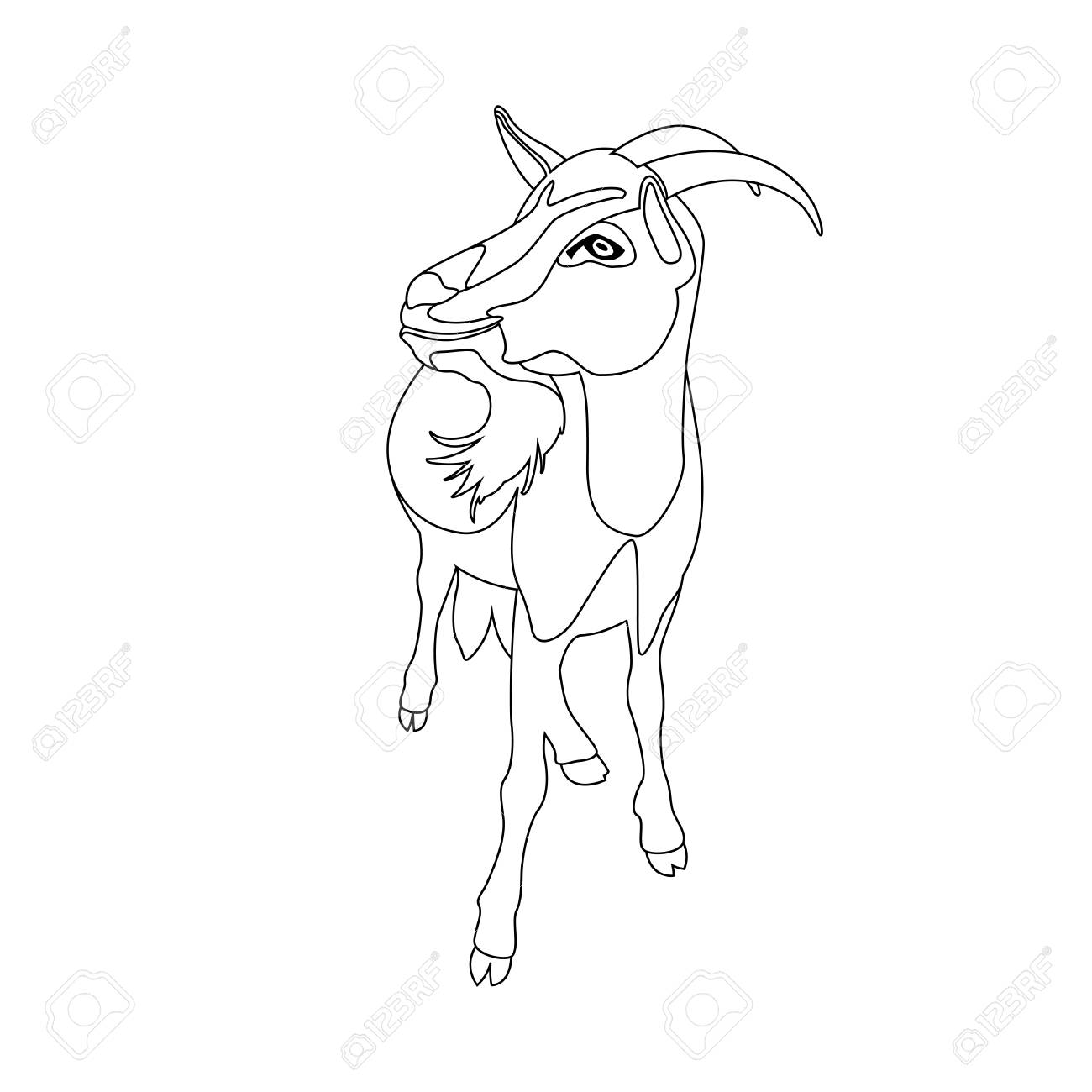 1300x1300 Goat Vector Illustration Line Drawing Royalty Free Cliparts